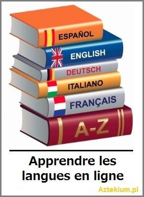 apprendre_les_langues_en_ligne.jpg