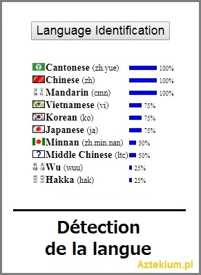 detection_de_la_langue.jpg