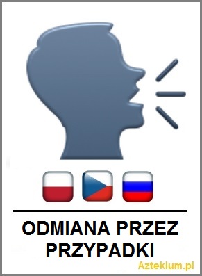 odmiana_przez_przypadki.jpg